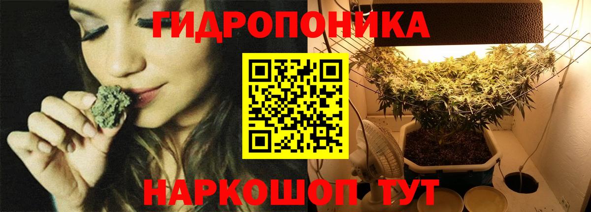 Бошки марихуана MAZAR  Вход с VPN  Бошки Шишки SATIVA & INDICA  Артём 